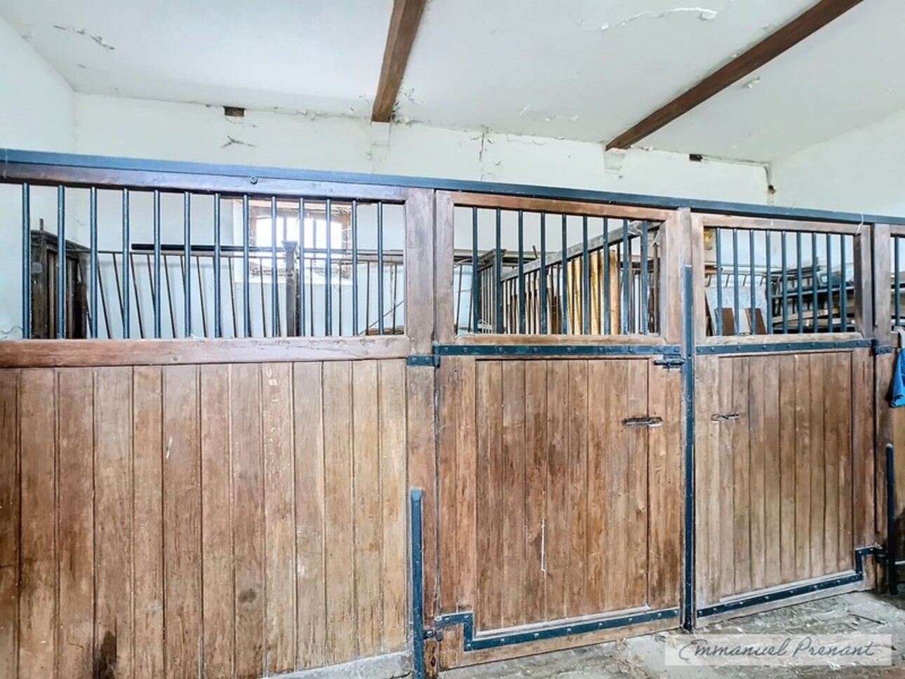 Photos 23 - Equestrian - Dpt Sarthe (72), à vendre CONFLANS SUR ANILLE propriete P3 de 63 m² - Terrain de 30 000,00 m²