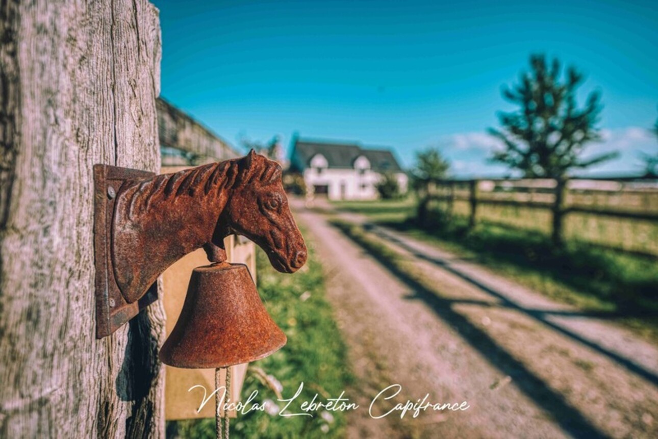 Photos 20 - Equestrian - Equestrian property on 12.5 hectares