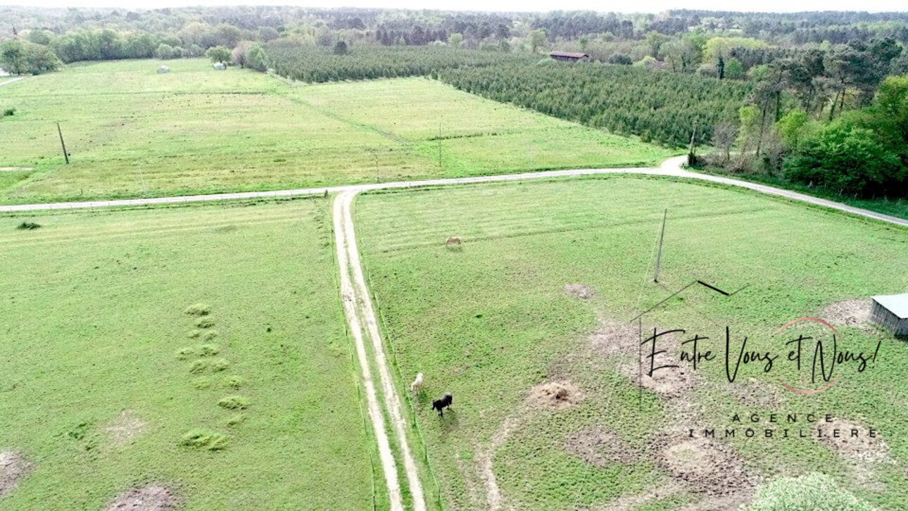 Photos 8 - Equestrian - PROPRIÉTÉ AVEC GÎTES SUR 3HA DE PARC ET DE PRAIRIE