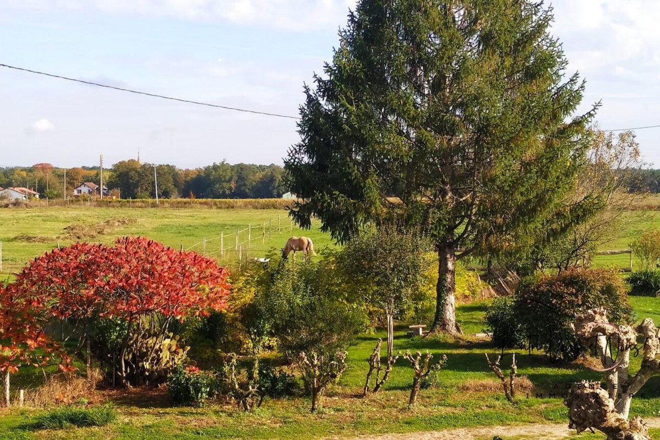 Photos 9 - Equestrian - PROPRIÉTÉ AVEC GÎTES SUR 3HA DE PARC ET DE PRAIRIE