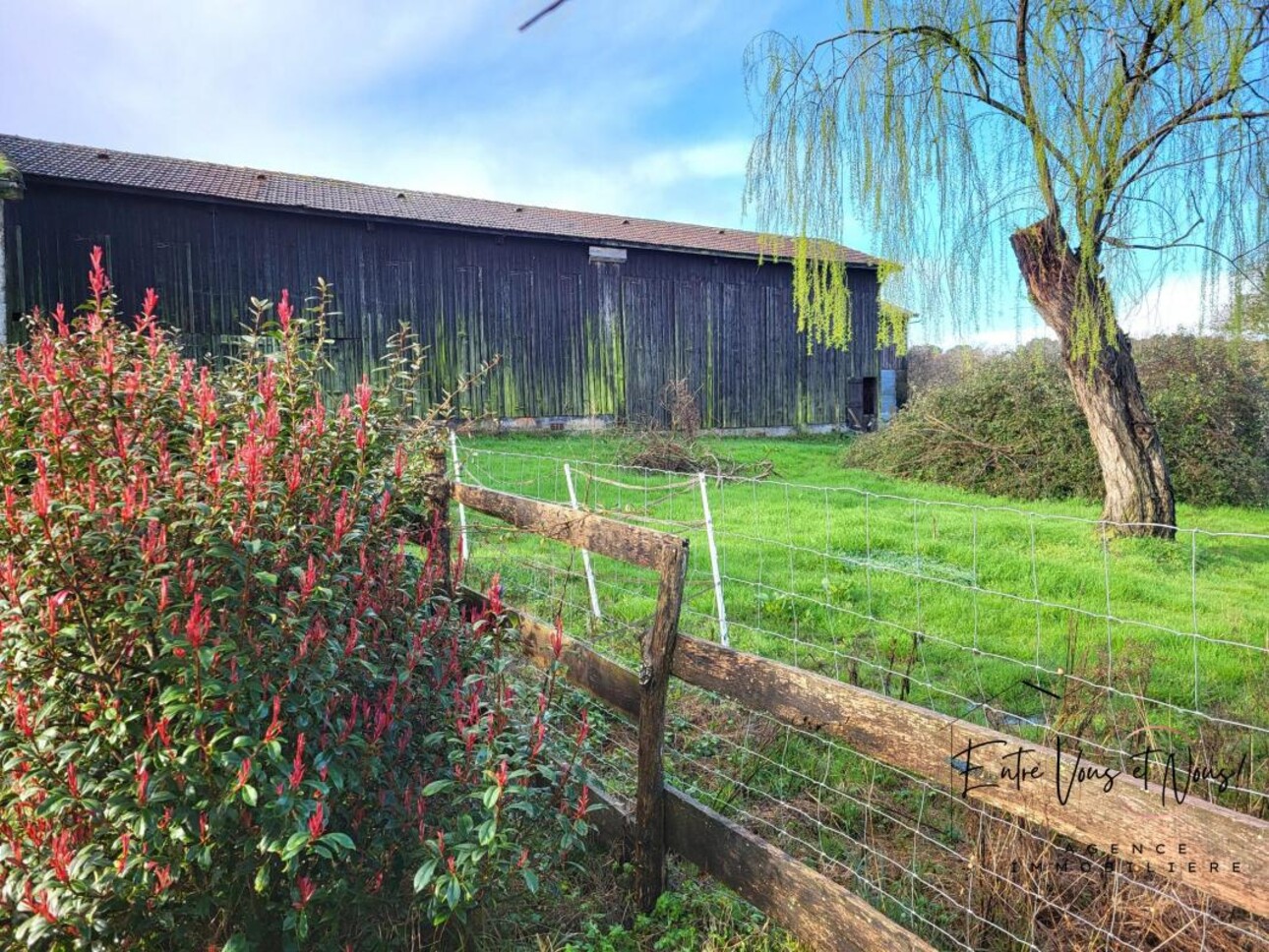 Photos 17 - Equestrian - PROPRIÉTÉ AVEC GÎTES SUR 3HA DE PARC ET DE PRAIRIE