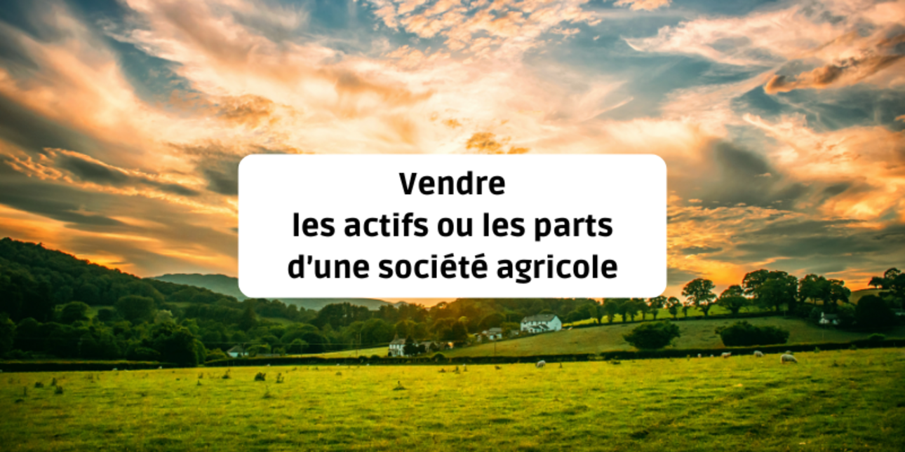 Vendre les actifs ou vendre les parts d’une société agricole