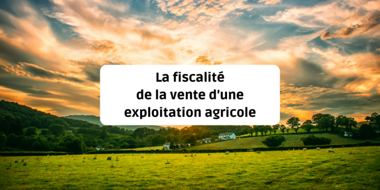 La fiscalité de la vente d'une exploitation agricole