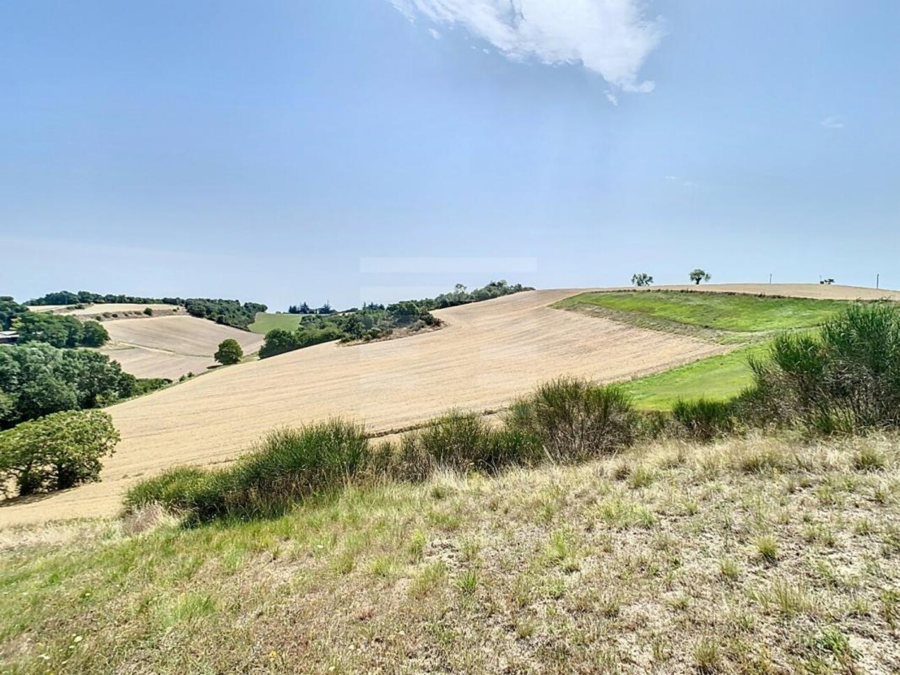 Photos 3 - Foncière - Terrain agricole