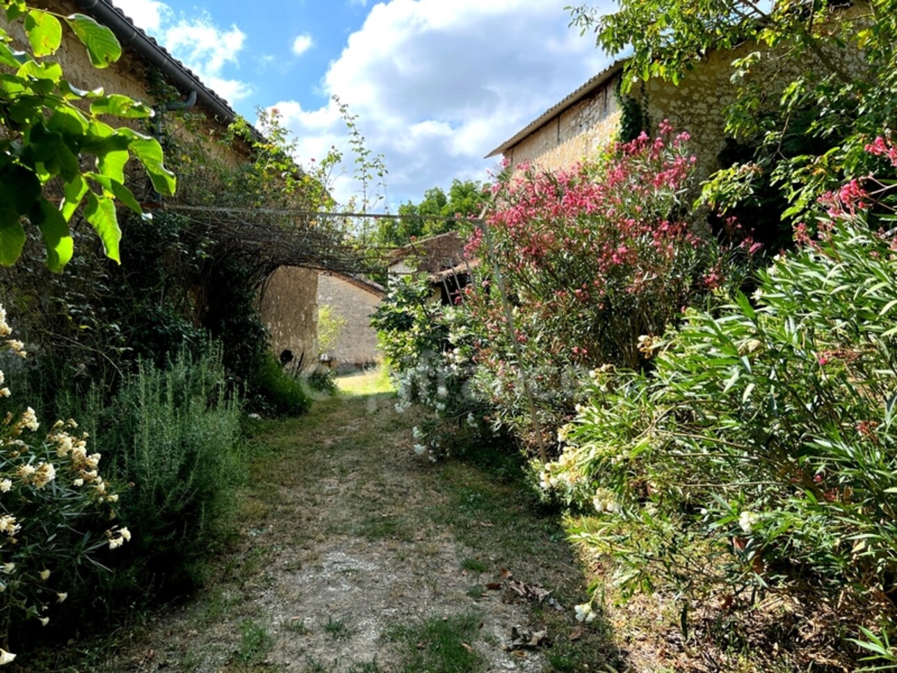 Photos 22 - Touristique - Propriété (835 m2) à vendre avec maison de maître 6 pièces de 195 m2 et six dépendances, isolée, à 6 km de LECTOURE (32)