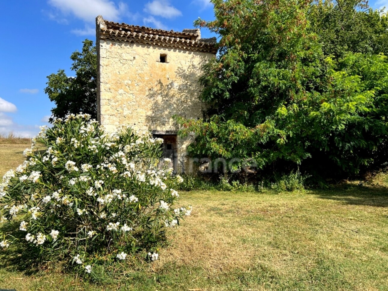 Photos 24 - Touristique - Propriété (835 m2) à vendre avec maison de maître 6 pièces de 195 m2 et six dépendances, isolée, à 6 km de LECTOURE (32)