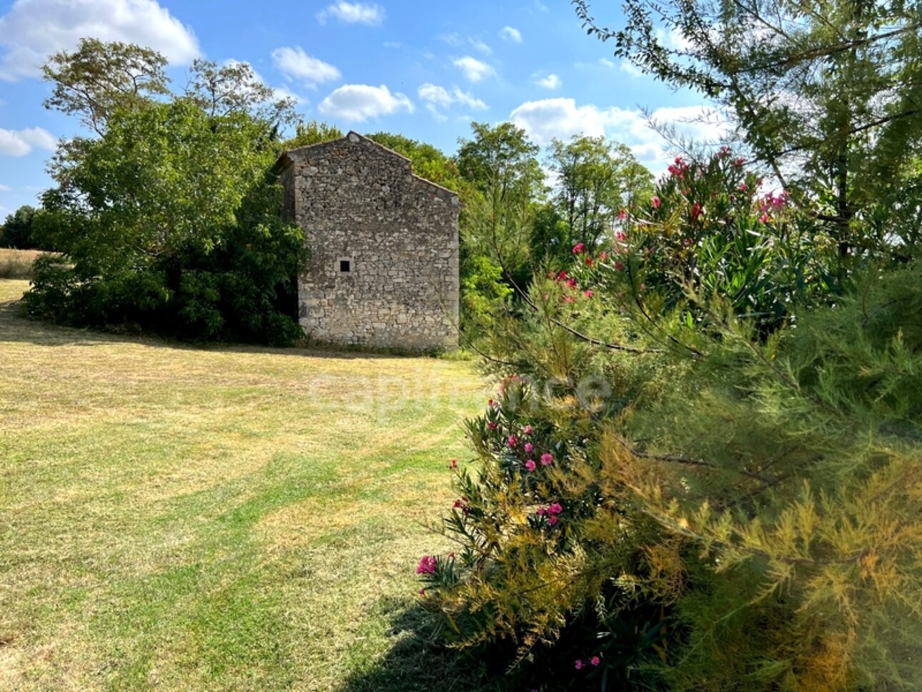 Photos 25 - Touristique - Propriété (835 m2) à vendre avec maison de maître 6 pièces de 195 m2 et six dépendances, isolée, à 6 km de LECTOURE (32)