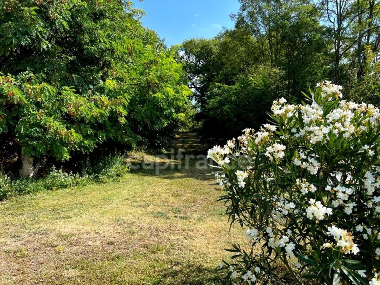 Photos 27 - Tourist - Propriété (835 m2) à vendre avec maison de maître 6 pièces de 195 m2 et six dépendances, isolée, à 6 km de LECTOURE (32)