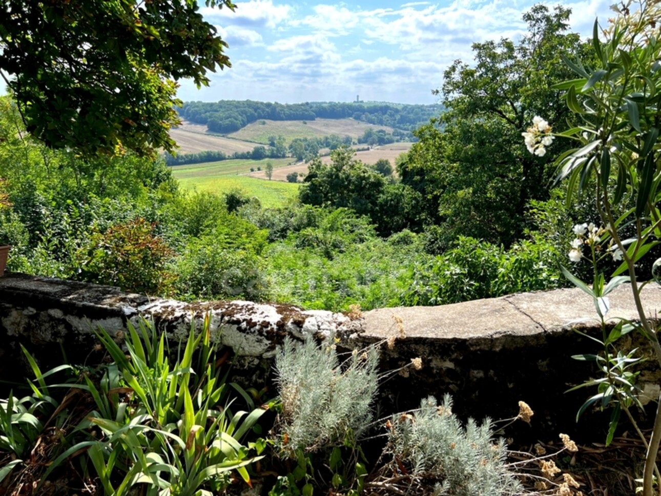 Photos 29 - Touristique - Propriété (835 m2) à vendre avec maison de maître 6 pièces de 195 m2 et six dépendances, isolée, à 6 km de LECTOURE (32)