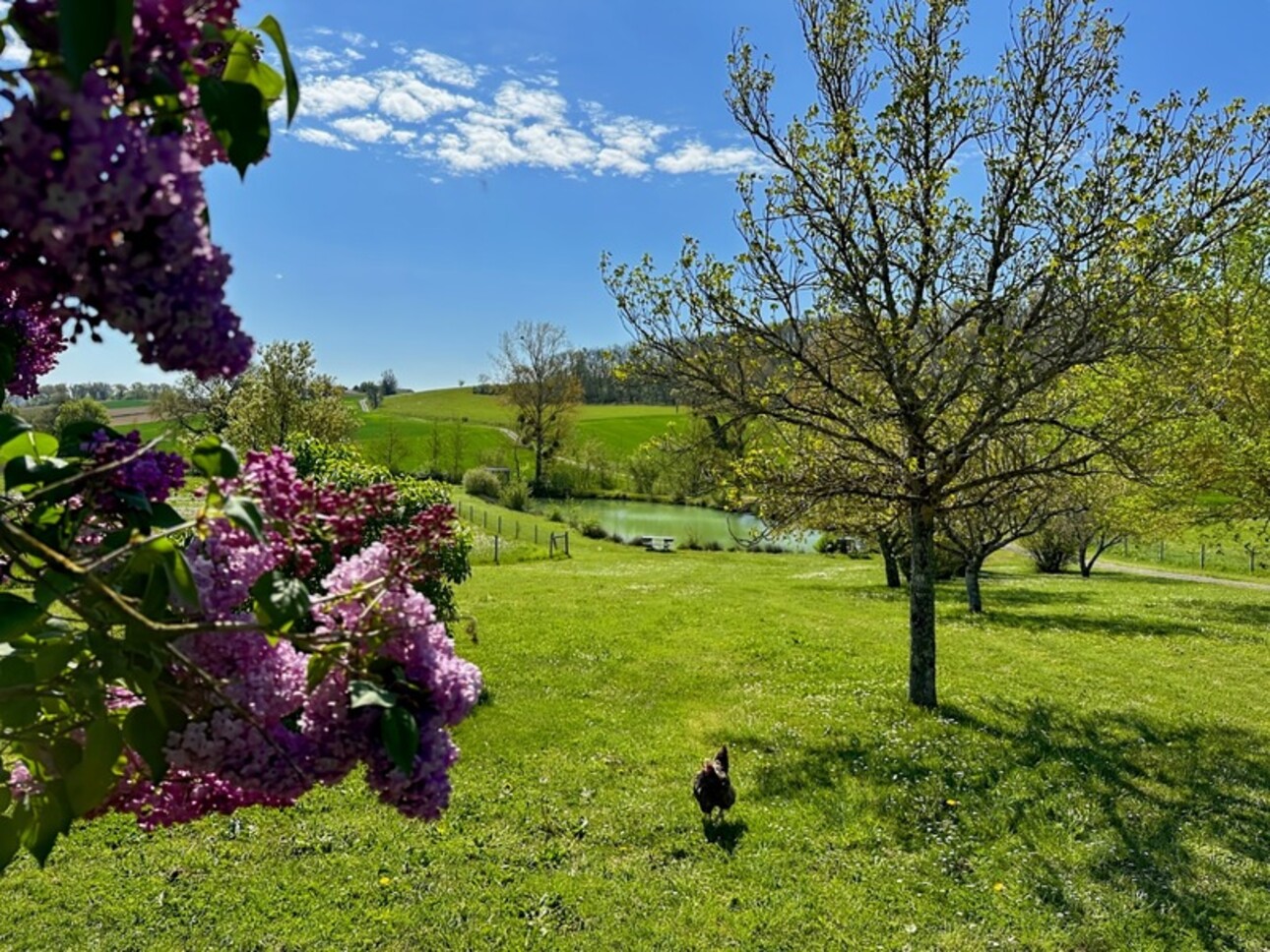 Photos 21 - Équestre - Dpt Gers (32), à vendre proche de AUCH propriete P9 de 265 m² - Terrain de 40 760,00 m²