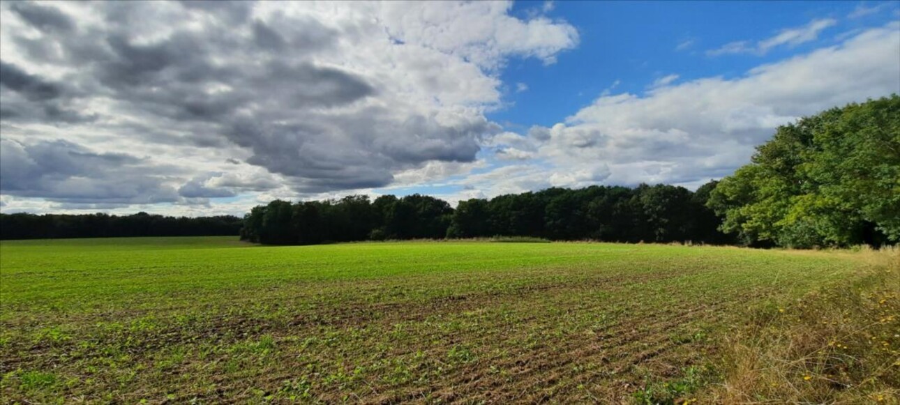 Photos 5 - Agricultural - EXCLUSIF Propriété Agricole Nord Indre