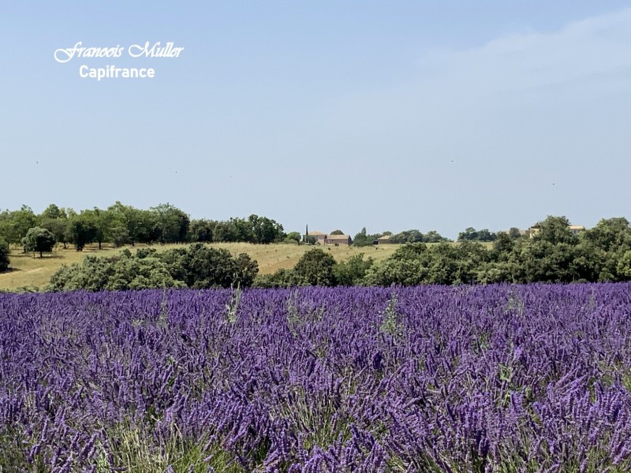 Photos 1 - Prestigious - Dpt Alpes de Haute Provence (04), for sale VALENSOLE bastide P16 of 476 m² - Land of 2,169 m²