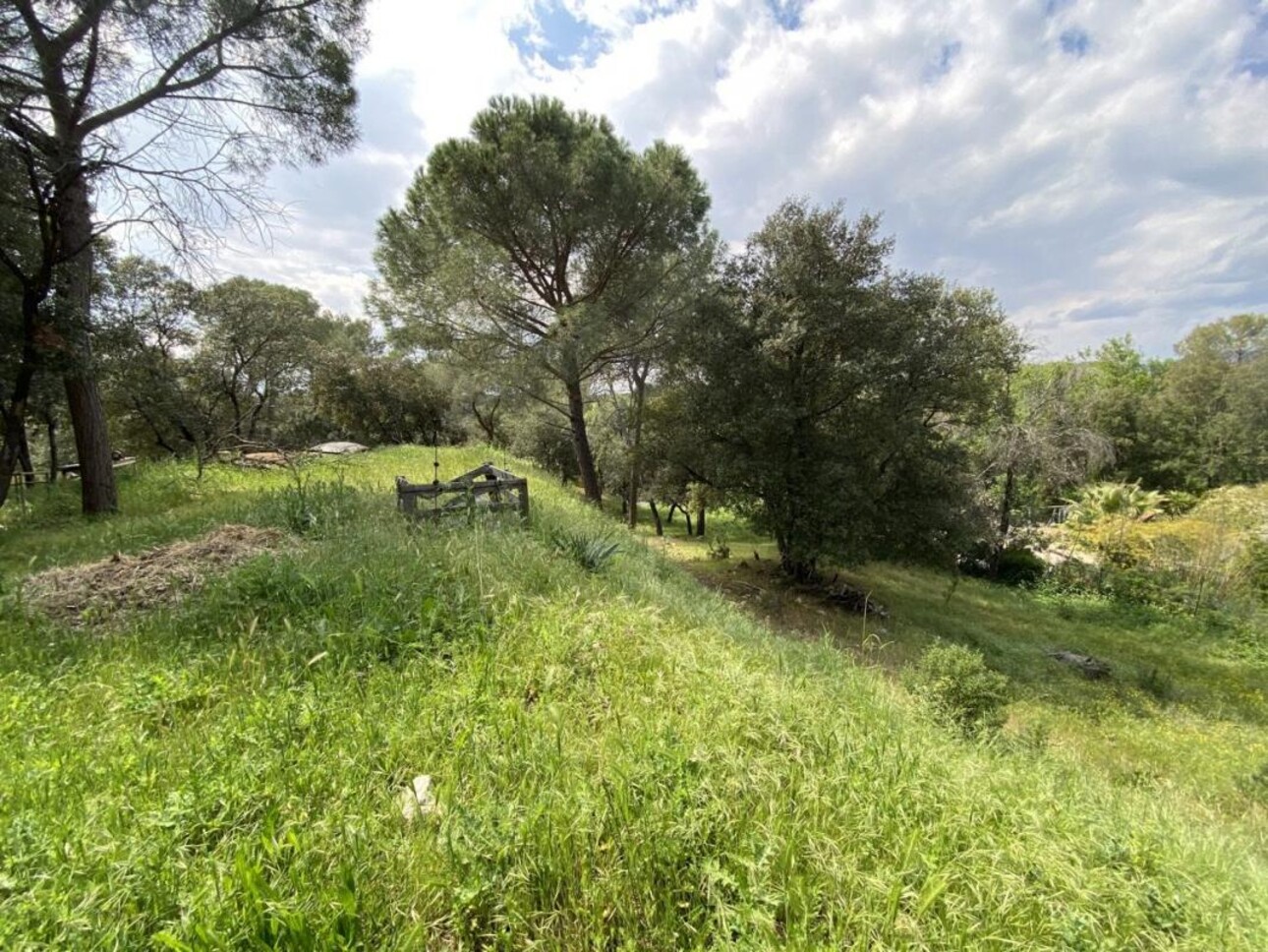 Photos 16 - Equestrian - Maison à vendre Roquebrune-sur-Argens