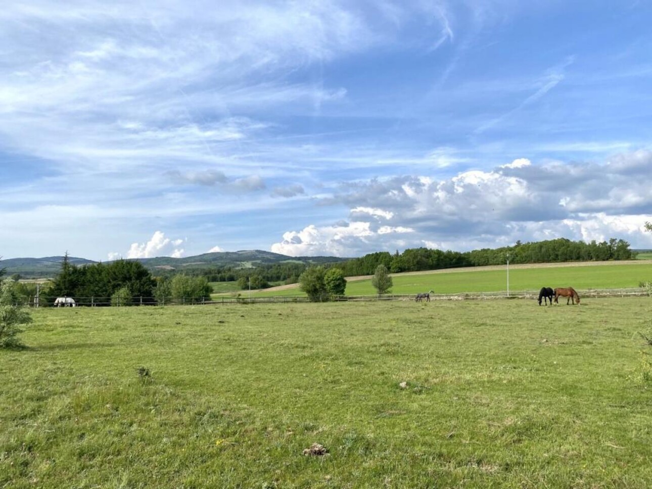 Photos 5 - Equestrian - Gîte équestre et maison d'hôtes en haute Provence (04)