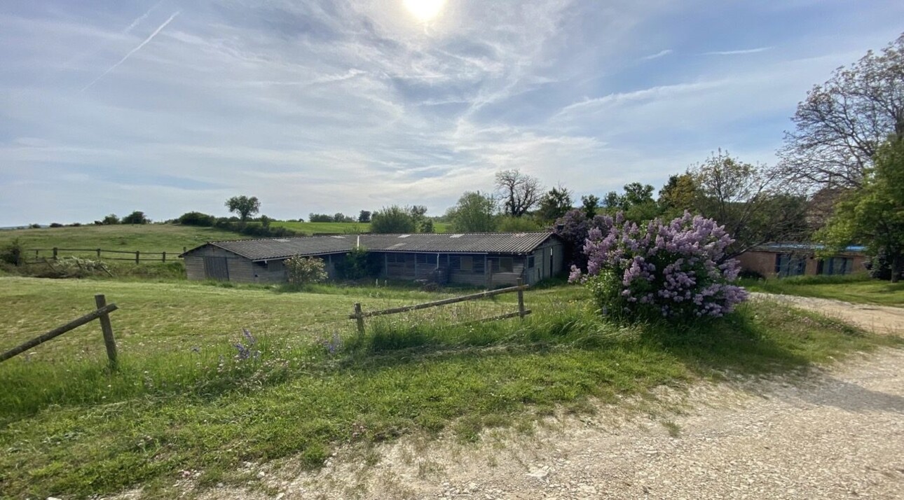 Photos 7 - Equestrian - Gîte équestre et maison d'hôtes en haute Provence (04)