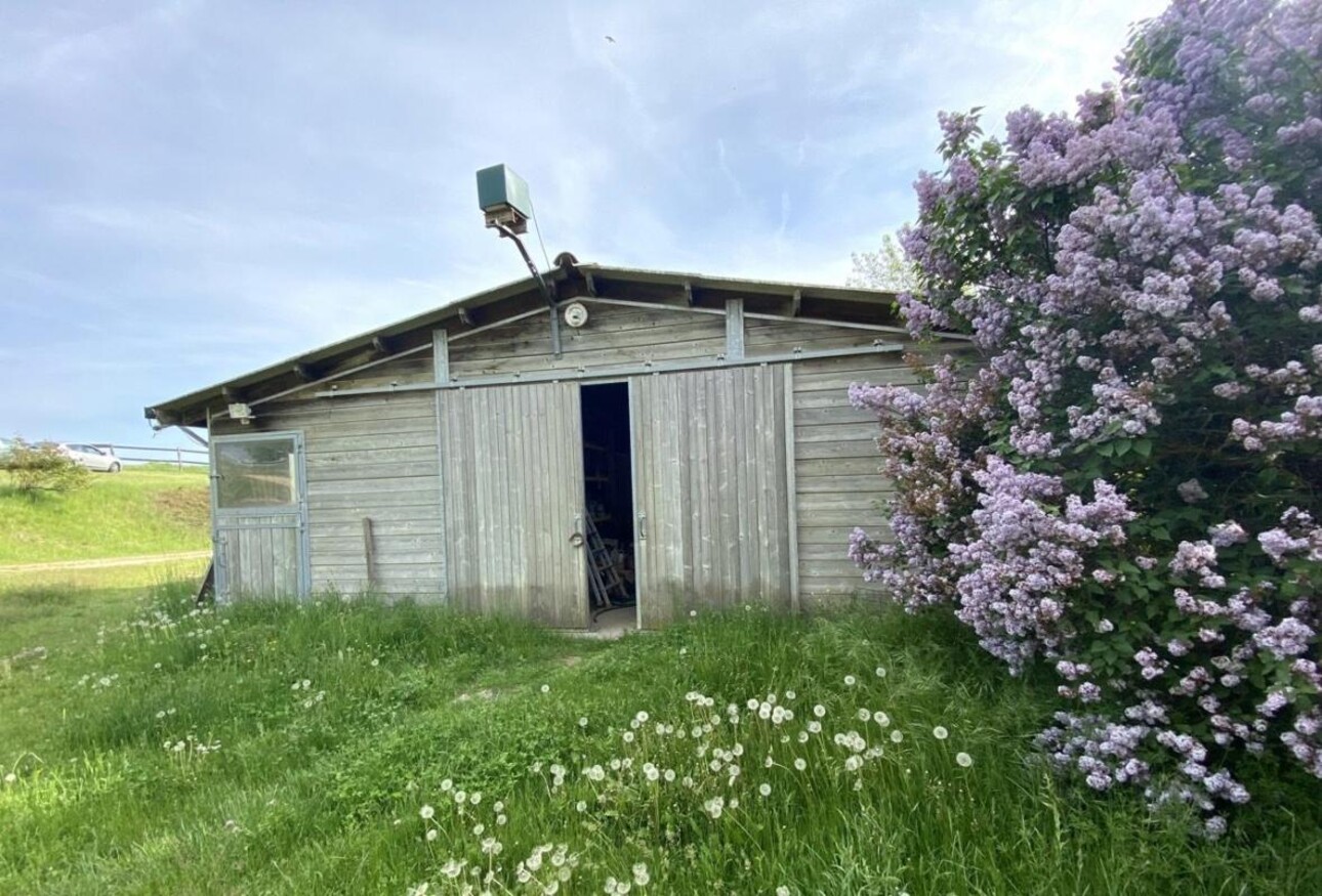 Photos 9 - Équestre - Gîte équestre et maison d'hôtes en haute Provence (04)