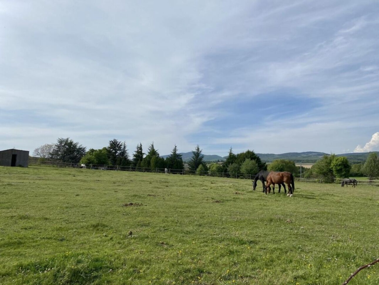 Photos 19 - Equestrian - Gîte équestre et maison d'hôtes en haute Provence (04)