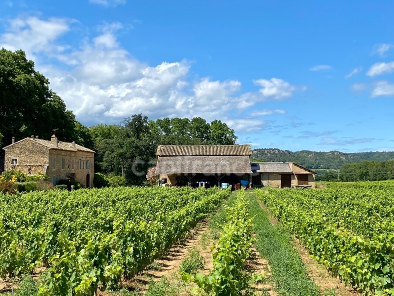 Photos 1 - Viticole - Dpt Gard (30), Domaine viticole de 16 hectares avec Chai et ancienne ferme indépendante