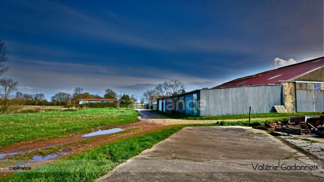 Photos 14 - Touristique - Dpt Charente Maritime (17), à vendre NUAILLE D'AUNIS, ensemble immobilier, d'une surface de 591,64 m2, le tout sur une parcelle cadastrée de 4710 m2