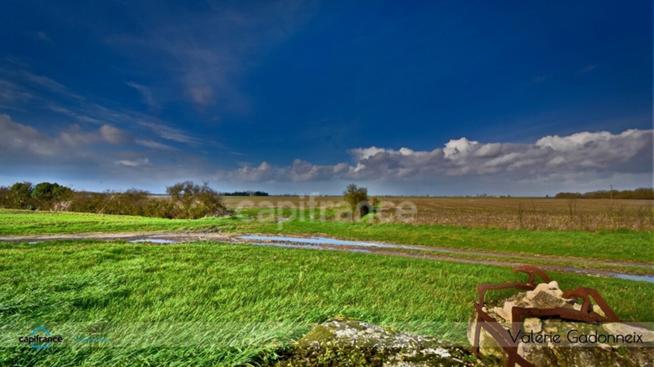 Photos 16 - Touristique - Dpt Charente Maritime (17), à vendre NUAILLE D'AUNIS, ensemble immobilier, d'une surface de 591,64 m2, le tout sur une parcelle cadastrée de 4710 m2