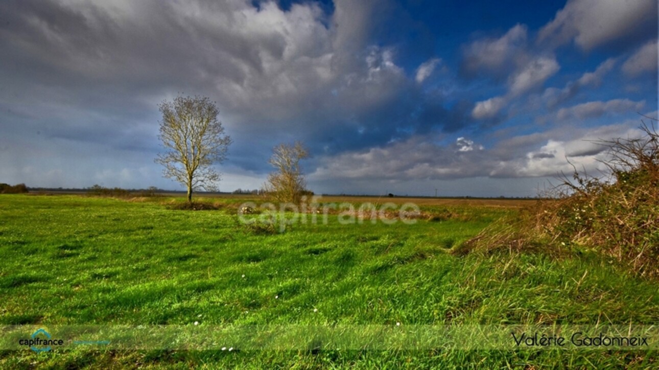 Photos 20 - Touristique - Dpt Charente Maritime (17), à vendre NUAILLE D'AUNIS, ensemble immobilier, d'une surface de 591,64 m2, le tout sur une parcelle cadastrée de 4710 m2