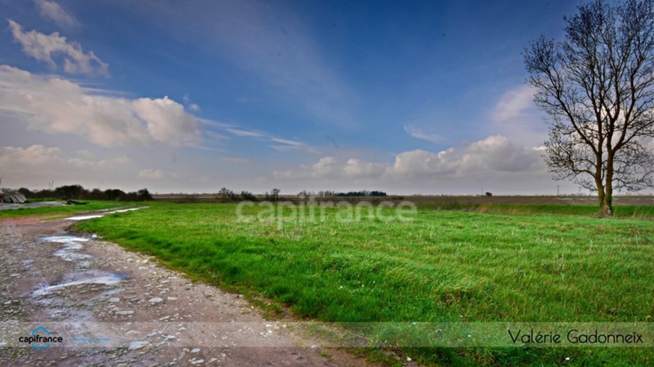 Photos 21 - Touristique - Dpt Charente Maritime (17), à vendre NUAILLE D'AUNIS, ensemble immobilier, d'une surface de 591,64 m2, le tout sur une parcelle cadastrée de 4710 m2