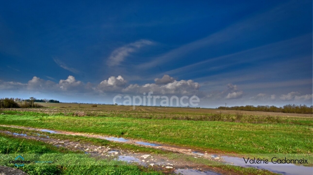 Photos 22 - Touristique - Dpt Charente Maritime (17), à vendre NUAILLE D'AUNIS, ensemble immobilier, d'une surface de 591,64 m2, le tout sur une parcelle cadastrée de 4710 m2