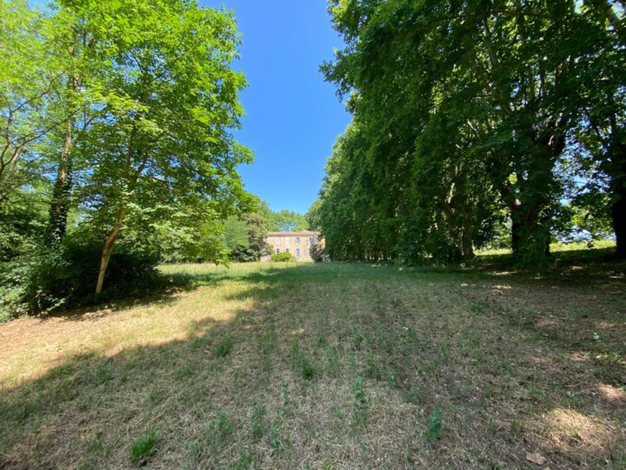 Photos 7 - Prestige - Dpt Gard (30), à vendre dans le Gard, propriété viticole en AOP Côtes du Rhône sur 25 hectares avec Château du XVème siècle