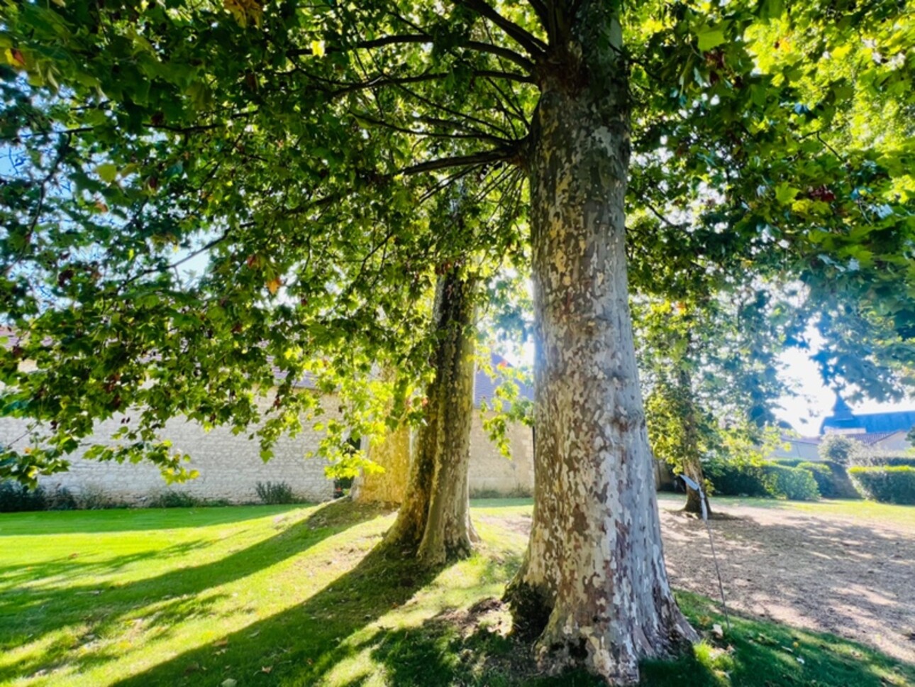 Photos 4 - Prestige - Propriété maison de maitre à  CHATELLERAULT (86)