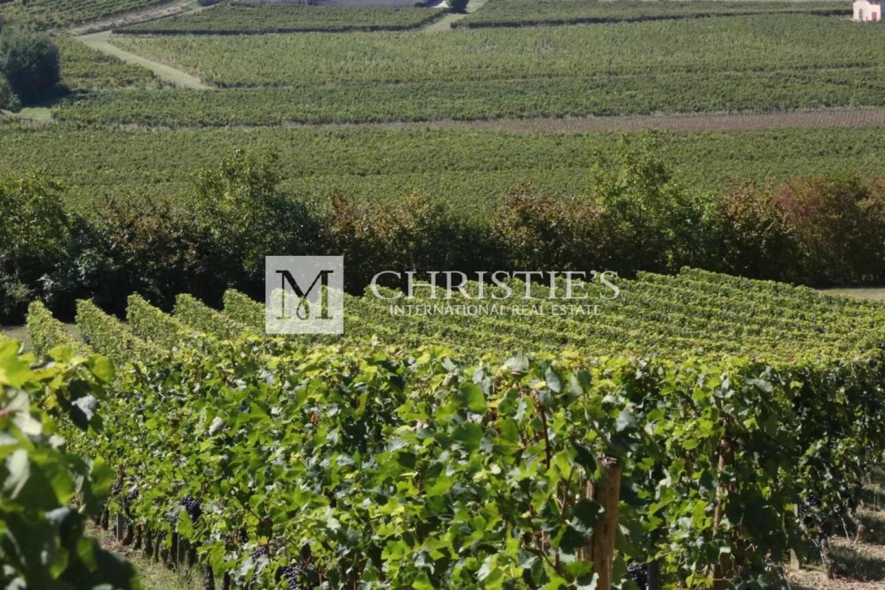 Photos 1 - Vineyard - For sale emblematic Bordeaux vineyard estate with quality terroir