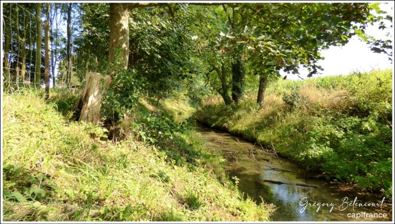 Photos 2 - Foncière - Terrain de loisirs à WAILLY