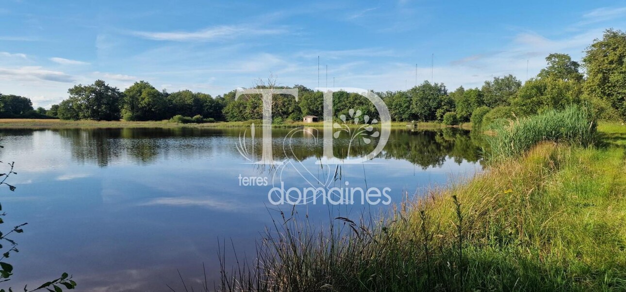 Photos 1 - Foncière - Bel étang en plein coeur de la Brenne