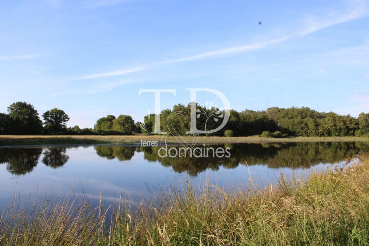 Photos 2 - Land - Bel étang en plein coeur de la Brenne