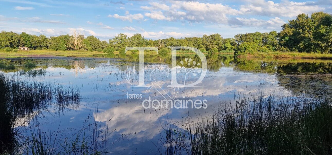 Photos 3 - Foncière - Bel étang en plein coeur de la Brenne