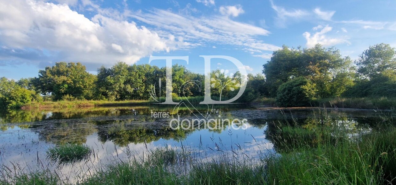 Photos 5 - Foncière - Bel étang en plein coeur de la Brenne