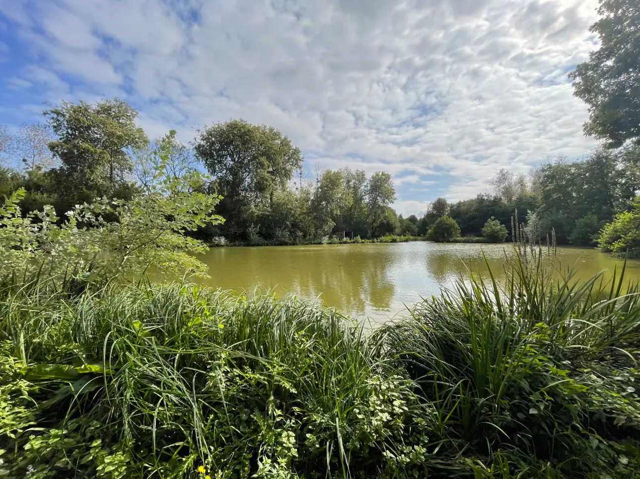 Photos 1 - Forestière - DOMAINE DE CHASSE ET DE PECHE DANS LE CALVADOS