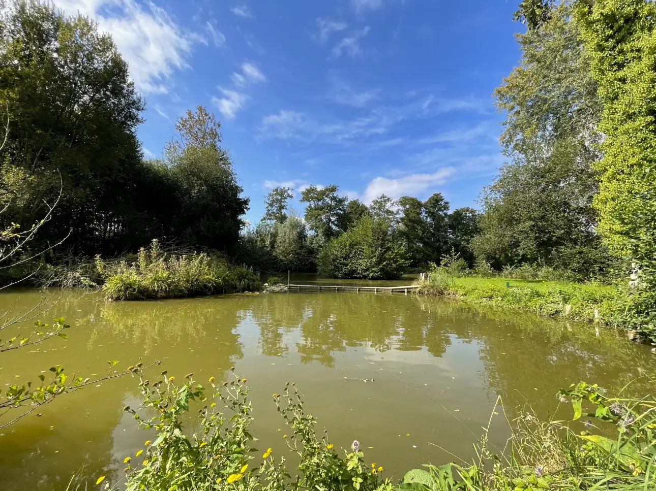 Photos 2 - Forest - HUNTING AND FISHING AREA IN CALVADOS