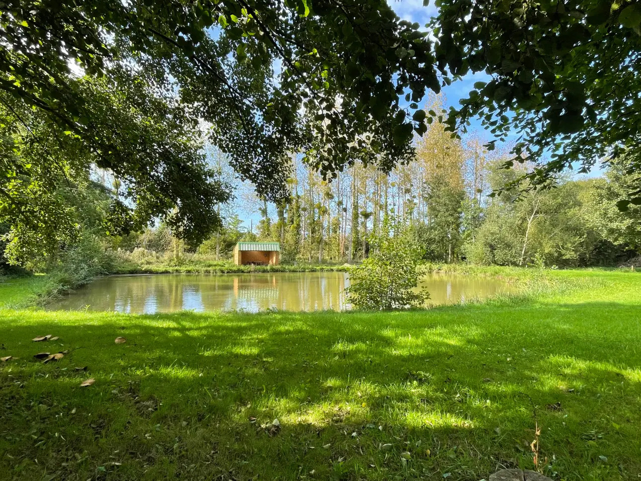 Photos 4 - Forestière - DOMAINE DE CHASSE ET DE PECHE DANS LE CALVADOS