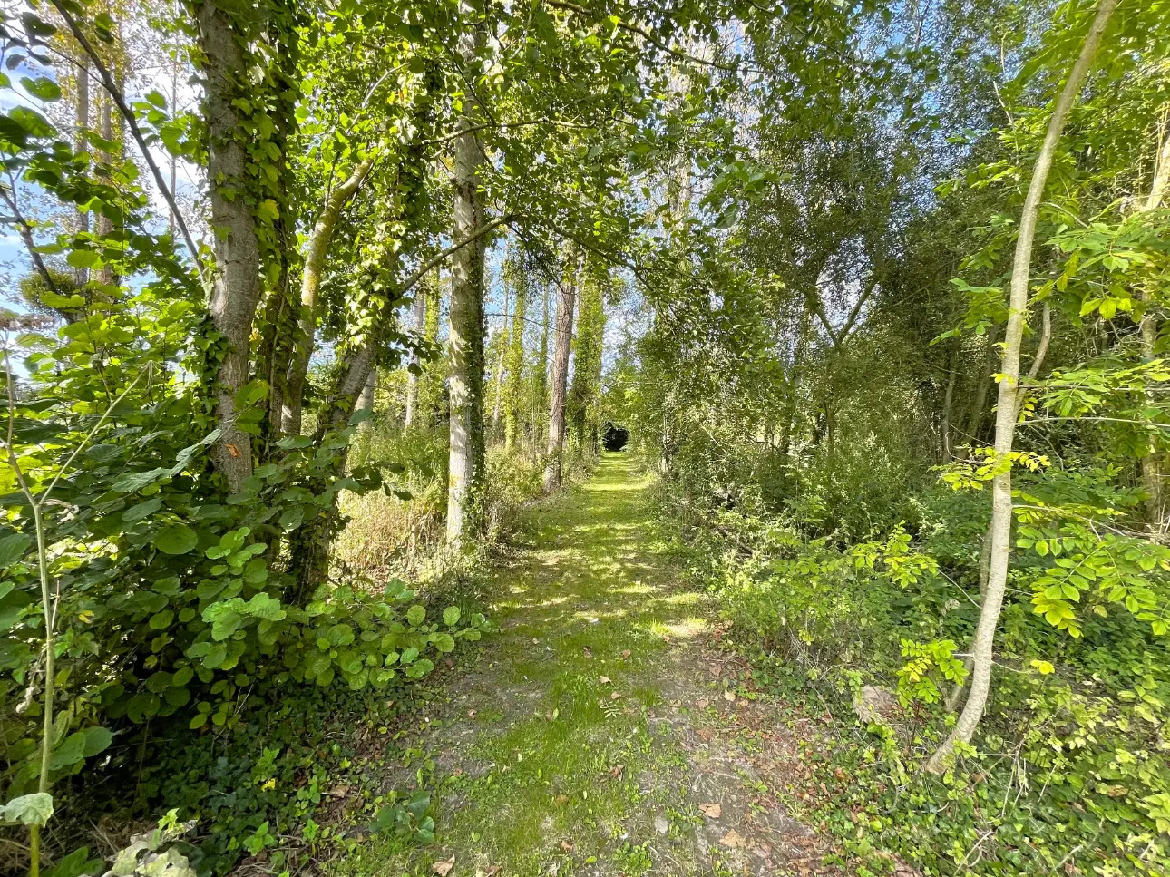 Photos 5 - Forestière - DOMAINE DE CHASSE ET DE PECHE DANS LE CALVADOS