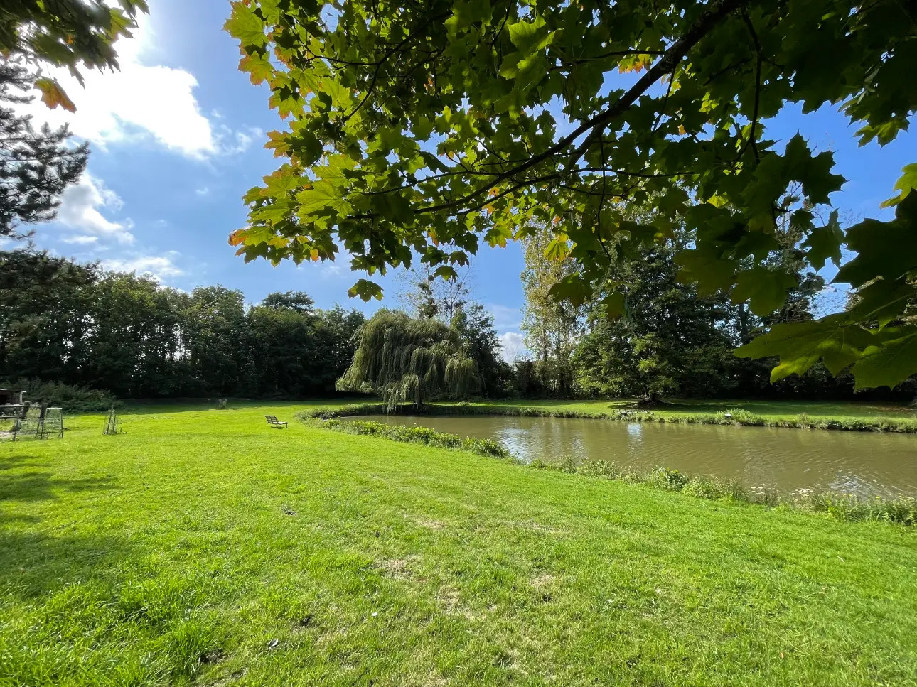 Photos 12 - Forest - HUNTING AND FISHING AREA IN CALVADOS