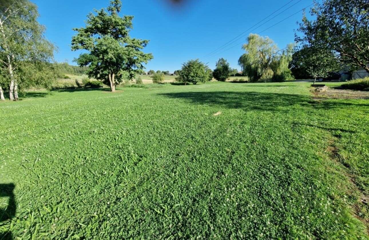 Photos 6 - Prestigious - Property of 1.8 ha for sale 10 rooms near VITTEL (88) MAISON de Maître T10 and ANNEXED BUILDINGS