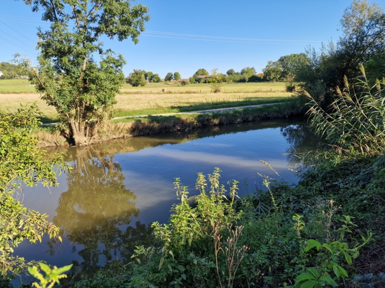 Photos 9 - Prestigious - Property of 1.8 ha for sale 10 rooms near VITTEL (88) MAISON de Maître T10 and ANNEXED BUILDINGS