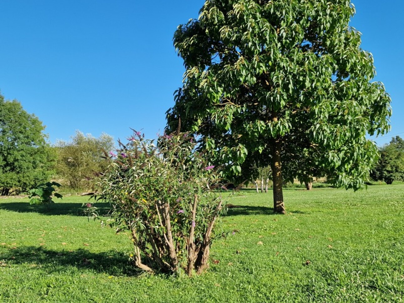 Photos 21 - Prestige - Propriete de 1,8 ha à vendre 10 pièces proche de VITTEL (88) MAISON de Maître T10 et BATIMENTS ANNEXES