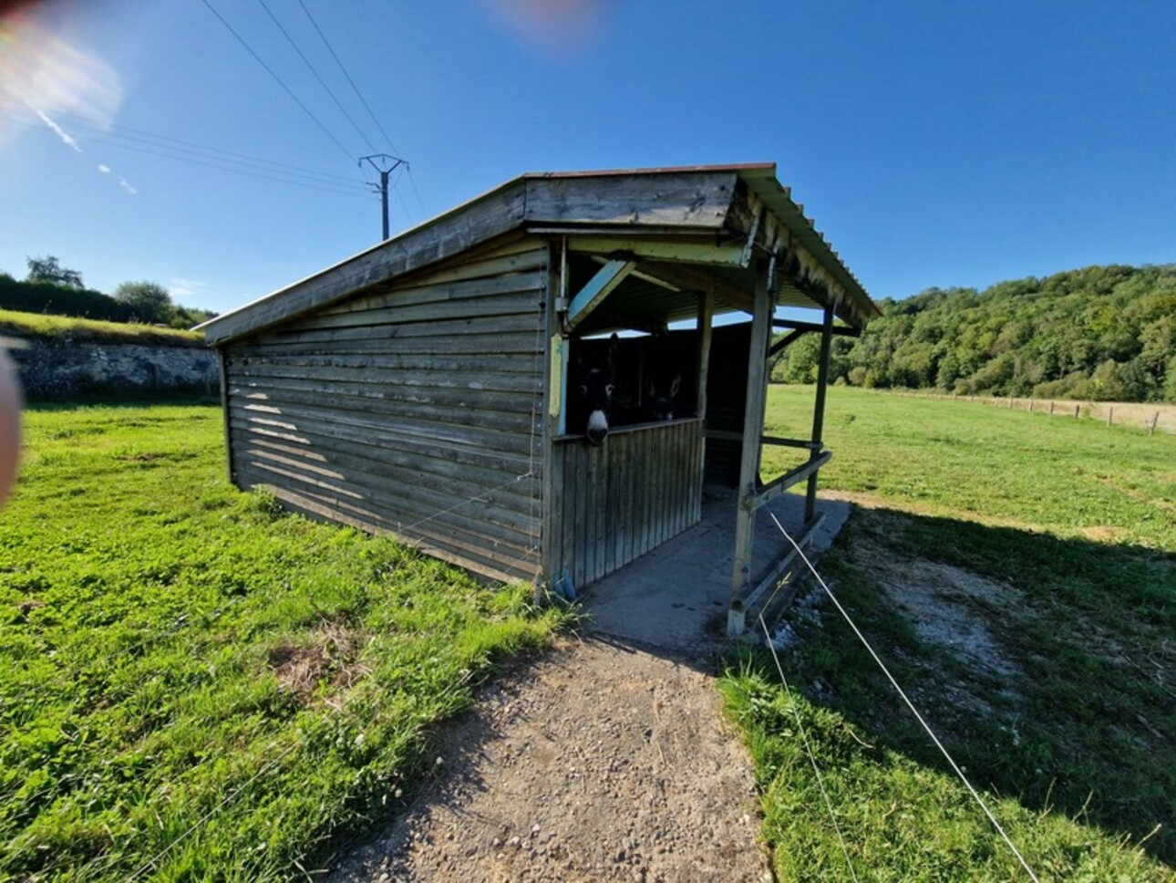 Photos 22 - Prestigious - Property of 1.8 ha for sale 10 rooms near VITTEL (88) MAISON de Maître T10 and ANNEXED BUILDINGS