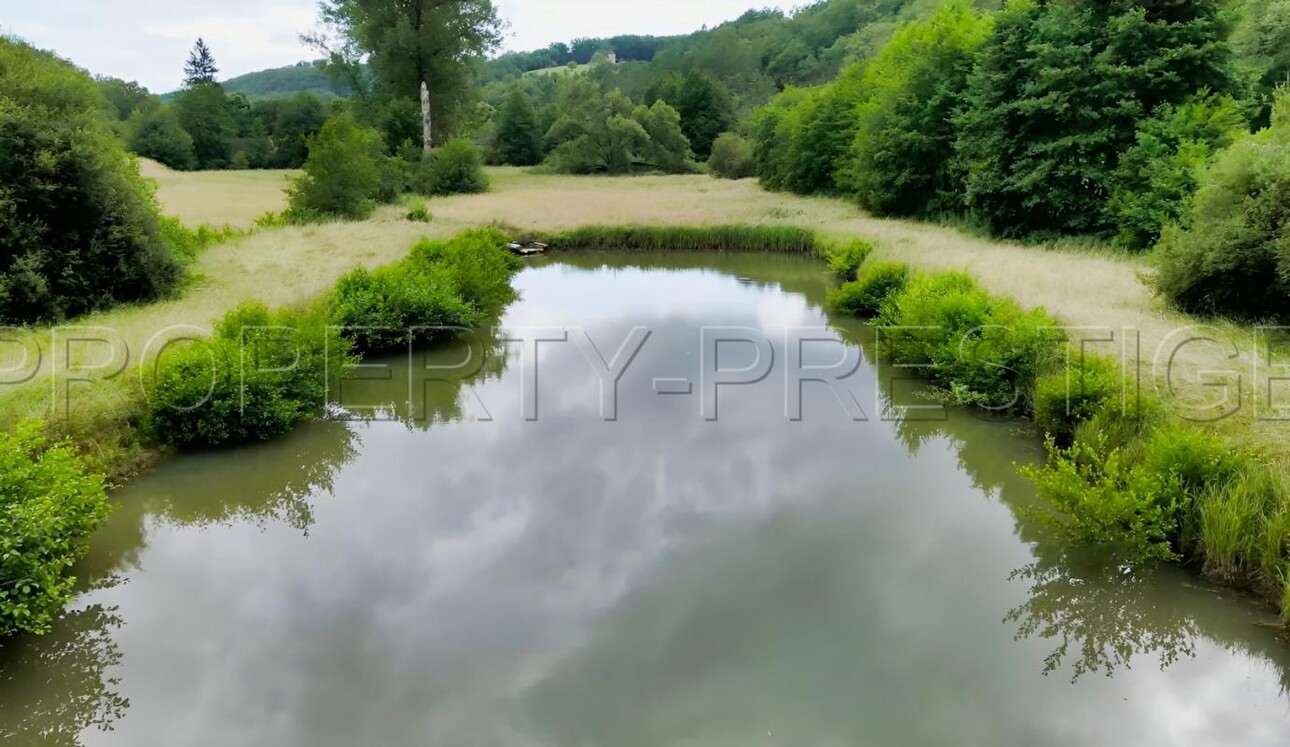 Photos 6 - Tourist - PERIGORD NOIR PROPRIETE XVIIème 23 HA RIVIERE ETANG