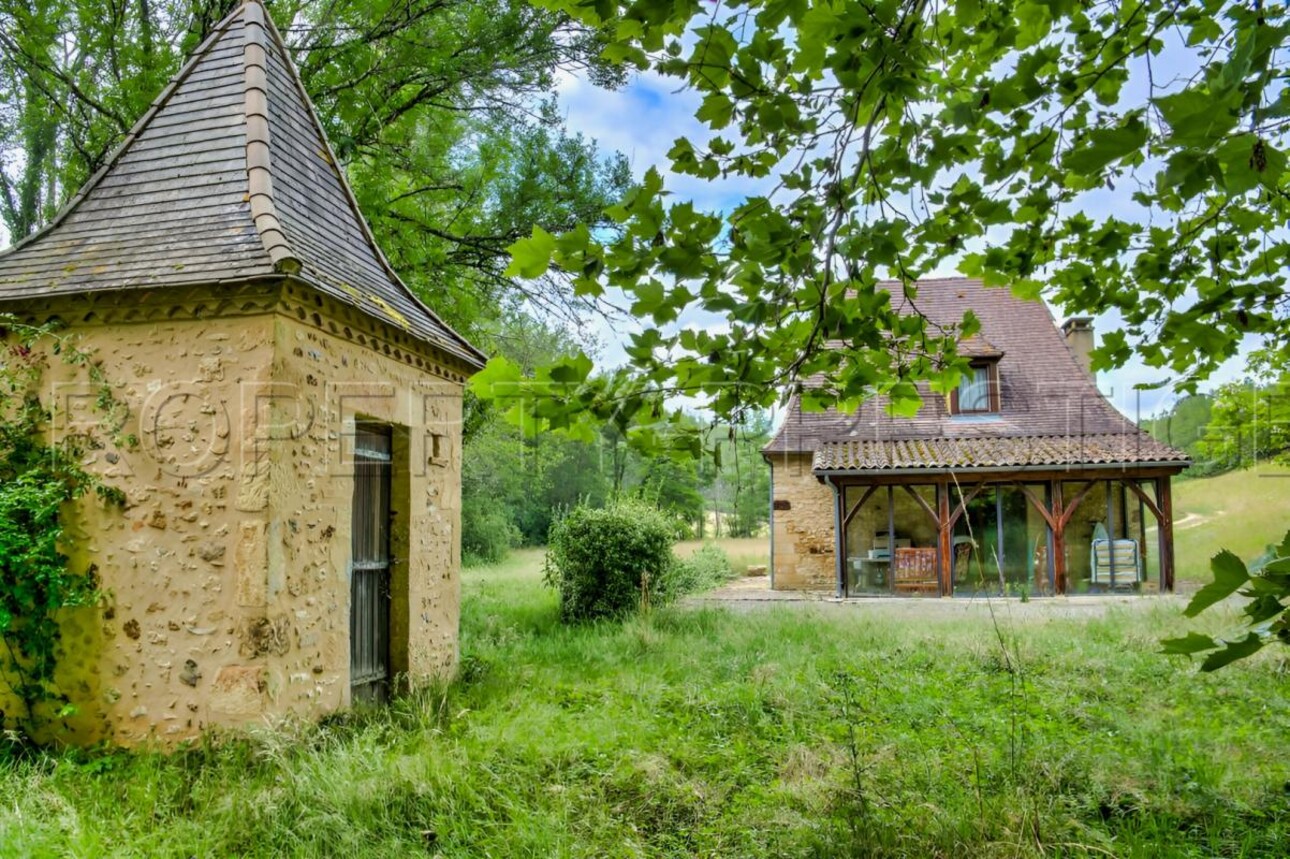 Photos 12 - Touristique - PERIGORD NOIR PROPRIETE XVIIème 23 HA RIVIERE ETANG