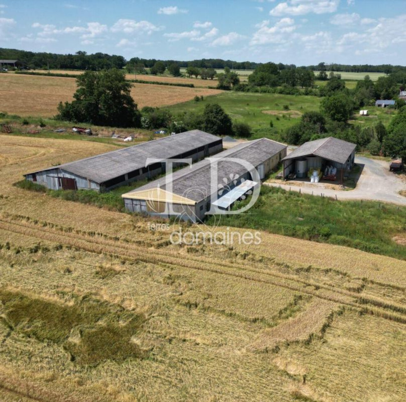 Photos 2 - Agricultural - A la vente 66 hectares et à la location 25 hectares domaine agr