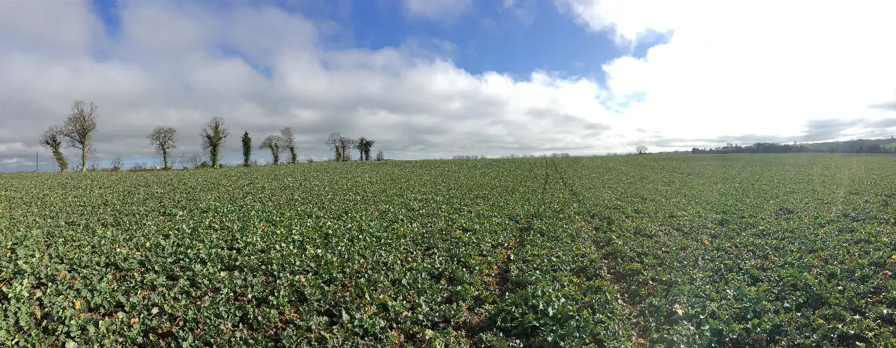 Photos 1 - Agricole - Terres agricoles louées dans le Nord de la Mayenne (53)