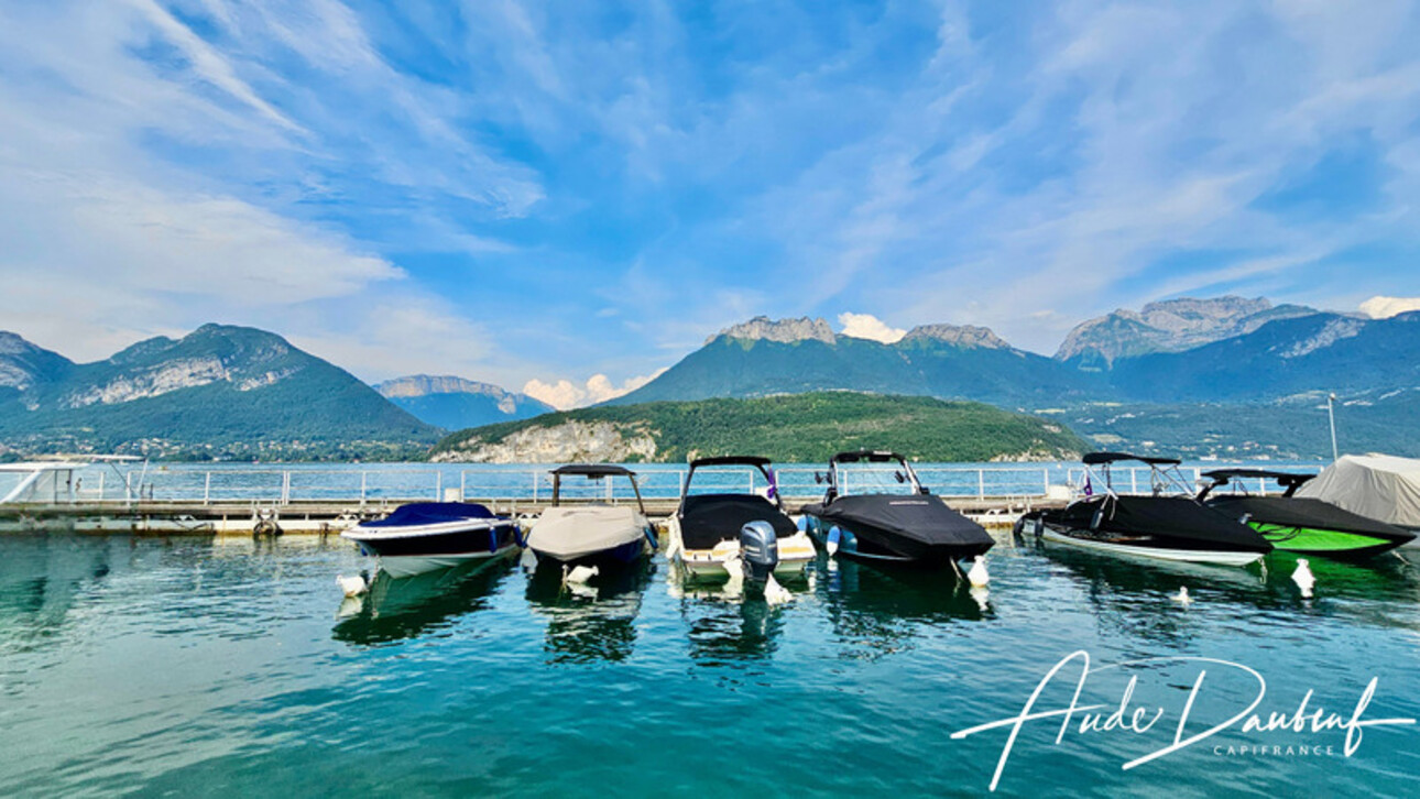 Photos 13 - Prestigious - Dpt (74), for sale property on Lake Annecy