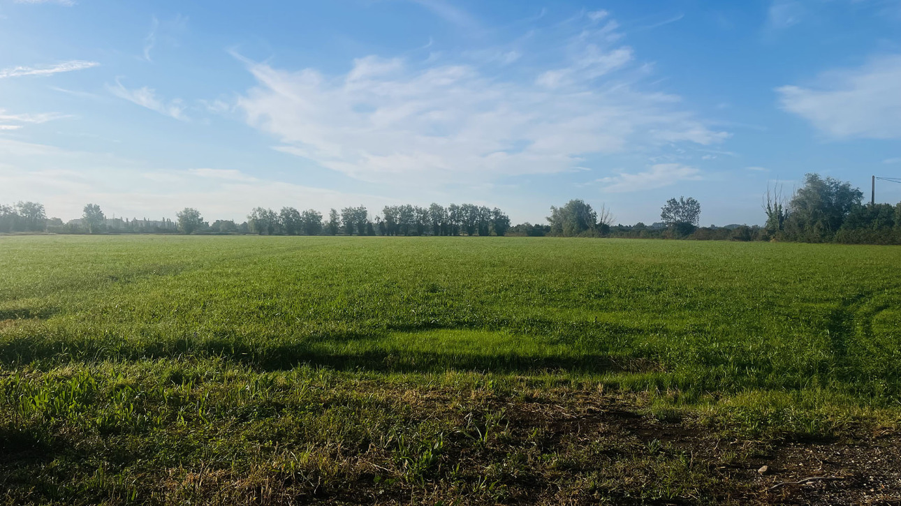 Photos 2 - Agricole - Propriété à rénover sur 6,5 hectares